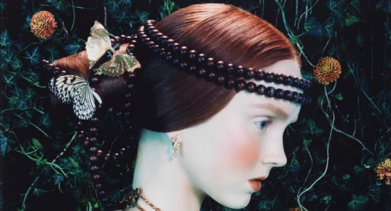 {{brizy_dc_image_alt entityId=