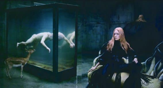 {{brizy_dc_image_alt entityId=